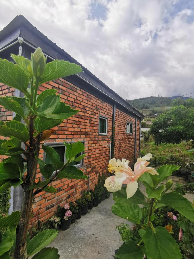 Komowanan * Kundasang