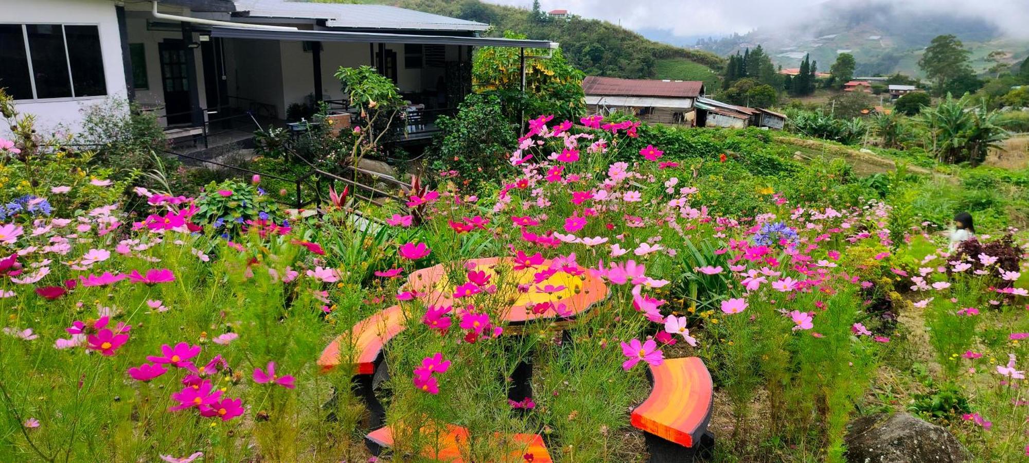 Komowanan Holiday home